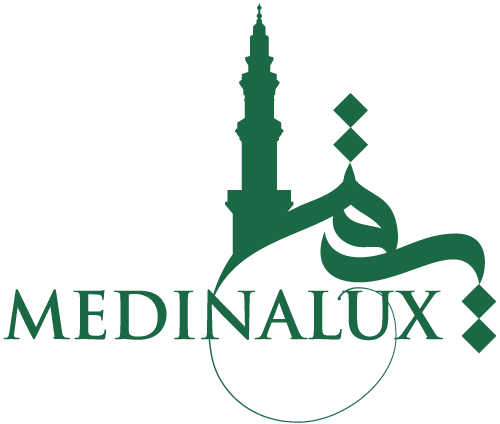 Medinalux Logo